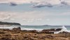 From Caves Beach 